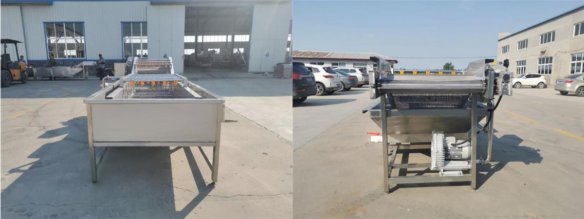 叶菜类喷淋气泡清洗机器设备